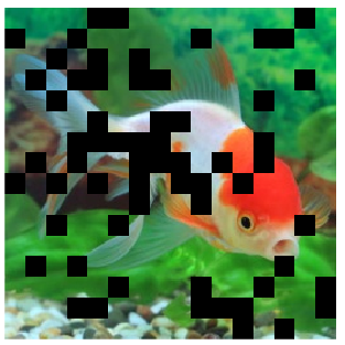 fish.png